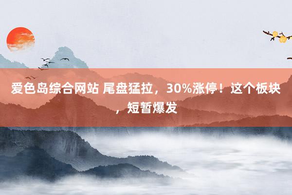 爱色岛综合网站 尾盘猛拉，30%涨停！这个板块，短暂爆发