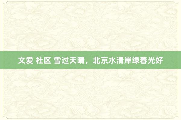 文爱 社区 雪过天晴，北京水清岸绿春光好