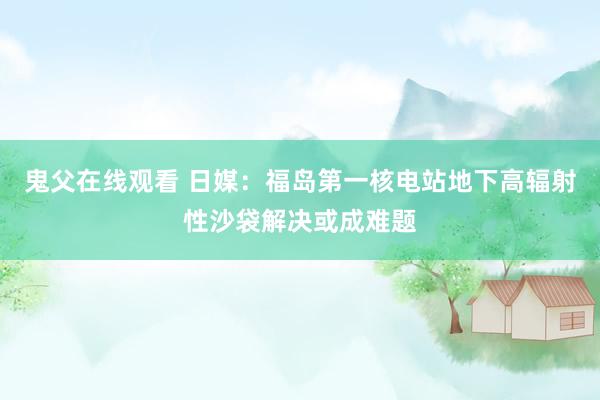 鬼父在线观看 日媒：福岛第一核电站地下高辐射性沙袋解决或成难题