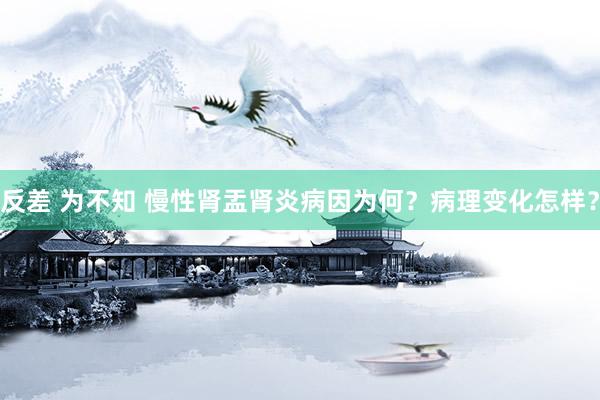 反差 为不知 慢性肾盂肾炎病因为何？病理变化怎样？