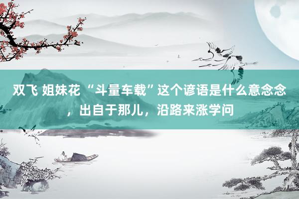 双飞 姐妹花 “斗量车载”这个谚语是什么意念念，出自于那儿，沿路来涨学问