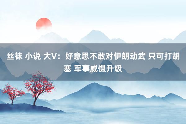 丝袜 小说 大V：好意思不敢对伊朗动武 只可打胡塞 军事威慑升级