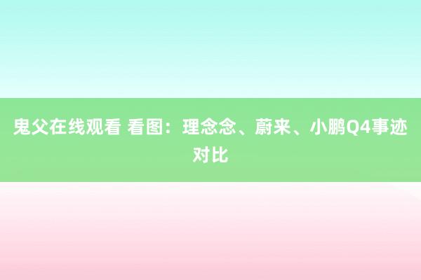 鬼父在线观看 看图：理念念、蔚来、小鹏Q4事迹对比