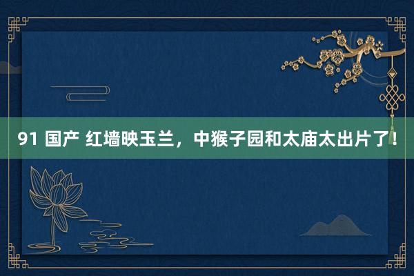 91 国产 红墙映玉兰，中猴子园和太庙太出片了！