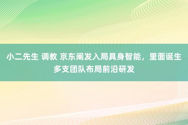 小二先生 调教 京东阐发入局具身智能，里面诞生多支团队布局前沿研发