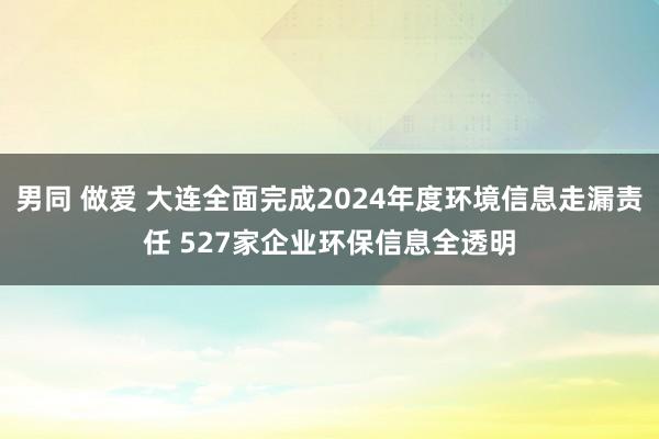 男同 做爱 大连全面完成2024年度环境信息走漏责任 527家企业环保信息全透明