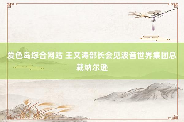 爱色岛综合网站 王文涛部长会见波音世界集团总裁纳尔逊