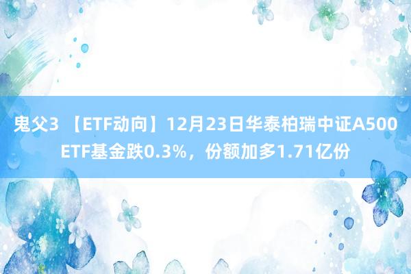 鬼父3 【ETF动向】12月23日华泰柏瑞中证A500ETF基金跌0.3%，份额加多1.71亿份