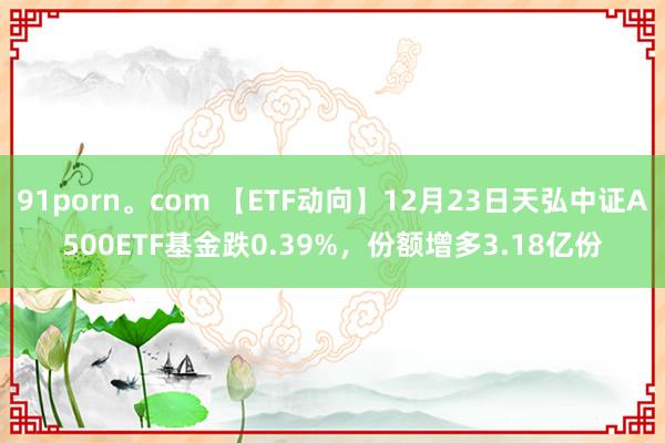 91porn。com 【ETF动向】12月23日天弘中证A500ETF基金跌0.39%，份额增多3.18亿份