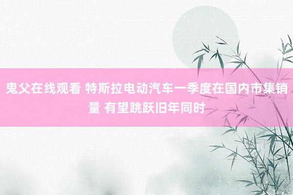 鬼父在线观看 特斯拉电动汽车一季度在国内市集销量 有望跳跃旧年同时