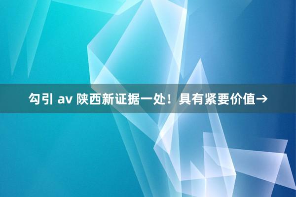 勾引 av 陕西新证据一处！具有紧要价值→