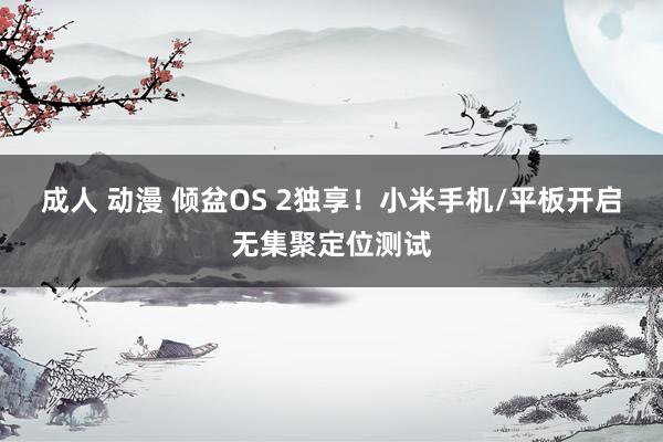 成人 动漫 倾盆OS 2独享！小米手机/平板开启无集聚定位测试