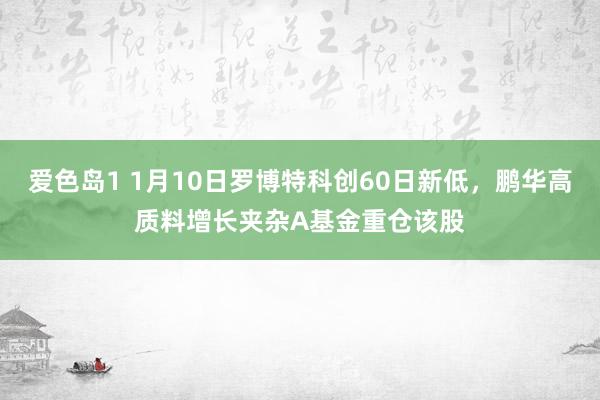 爱色岛1 1月10日罗博特科创60日新低，鹏华高质料增长夹杂A基金重仓该股