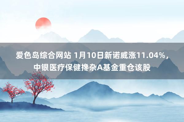 爱色岛综合网站 1月10日新诺威涨11.04%，中银医疗保健搀杂A基金重仓该股