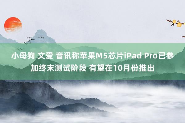 小母狗 文爱 音讯称苹果M5芯片iPad Pro已参加终末测试阶段 有望在10月份推出