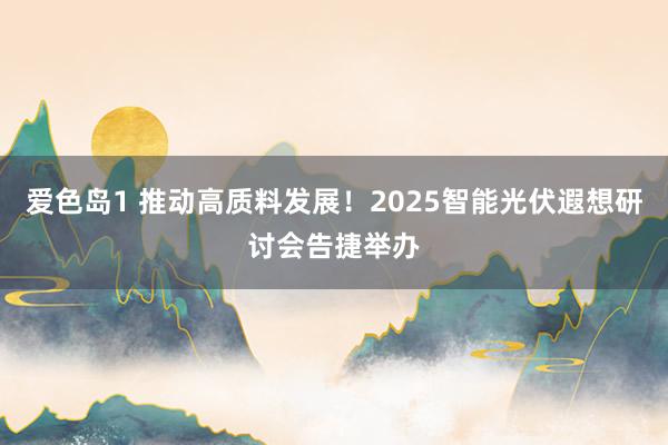 爱色岛1 推动高质料发展！2025智能光伏遐想研讨会告捷举办