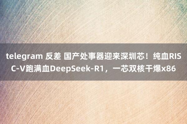 telegram 反差 国产处事器迎来深圳芯！纯血RISC-V跑满血DeepSeek-R1，一芯双核干爆x86