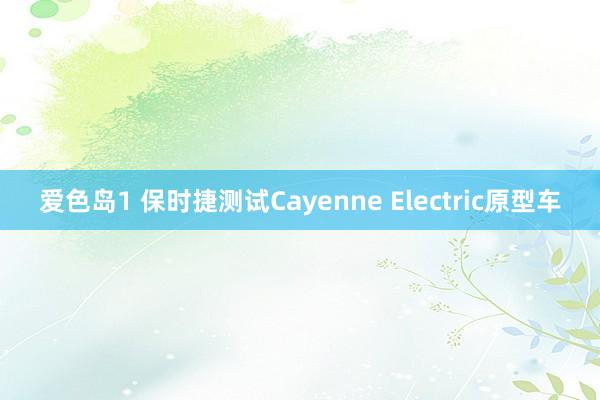 爱色岛1 保时捷测试Cayenne Electric原型车