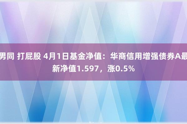 男同 打屁股 4月1日基金净值：华商信用增强债券A最新净值1.597，涨0.5%
