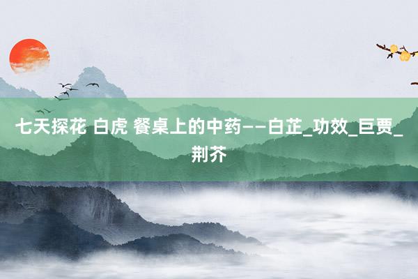七天探花 白虎 餐桌上的中药——白芷_功效_巨贾_荆芥