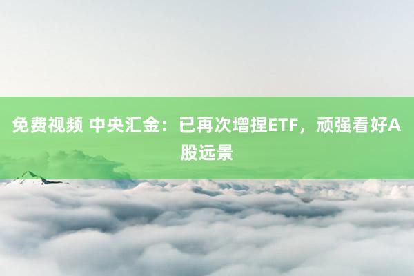 免费视频 中央汇金：已再次增捏ETF，顽强看好A股远景