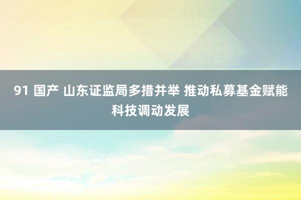 91 国产 山东证监局多措并举 推动私募基金赋能科技调动发展