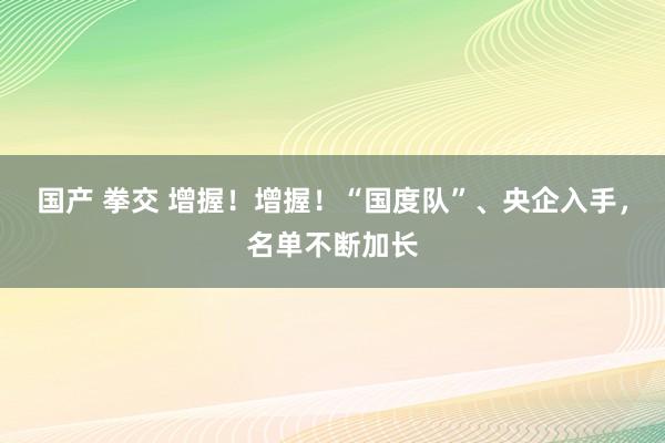 国产 拳交 增握！增握！“国度队”、央企入手，名单不断加长