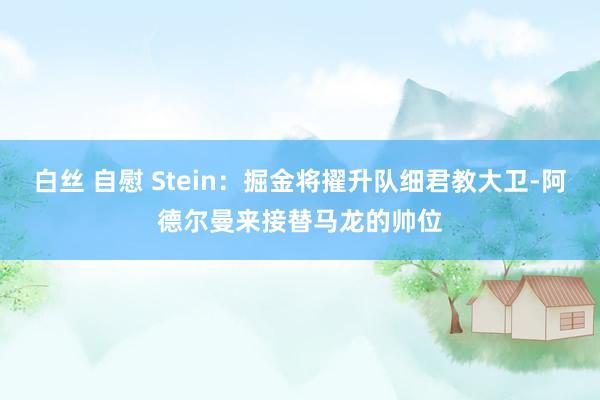 白丝 自慰 Stein：掘金将擢升队细君教大卫-阿德尔曼来接替马龙的帅位