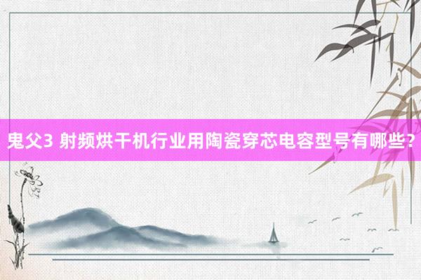 鬼父3 射频烘干机行业用陶瓷穿芯电容型号有哪些？