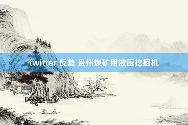 twitter 反差 贵州煤矿用液压挖掘机