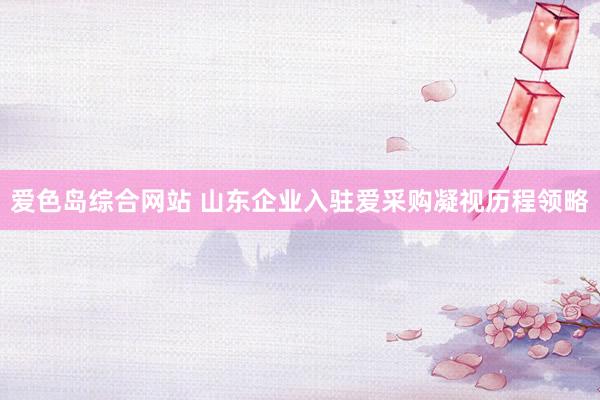 爱色岛综合网站 山东企业入驻爱采购凝视历程领略