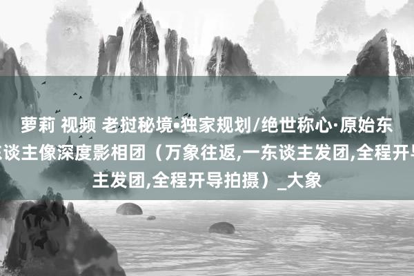 萝莉 视频 老挝秘境•独家规划/绝世称心·原始东谈主文·影视东谈主像深度影相团（万象往返，一东谈主发团，全程开导拍摄）_大象