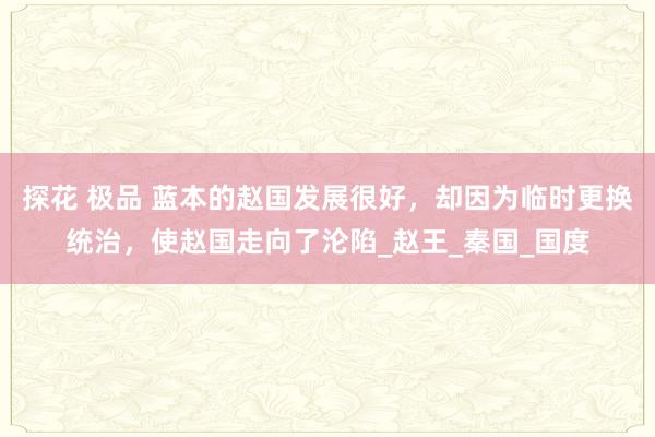 探花 极品 蓝本的赵国发展很好，却因为临时更换统治，使赵国走向了沦陷_赵王_秦国_国度