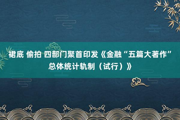 裙底 偷拍 四部门聚首印发《金融“五篇大著作”总体统计轨制（试行）》