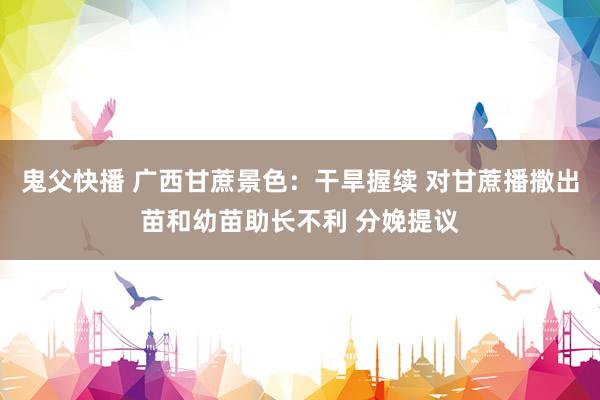 鬼父快播 广西甘蔗景色：干旱握续 对甘蔗播撒出苗和幼苗助长不利 分娩提议