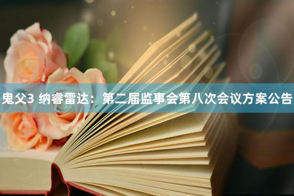 鬼父3 纳睿雷达：第二届监事会第八次会议方案公告