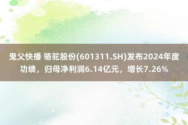 鬼父快播 骆驼股份(601311.SH)发布2024年度功绩，归母净利润6.14亿元，增长7.26%