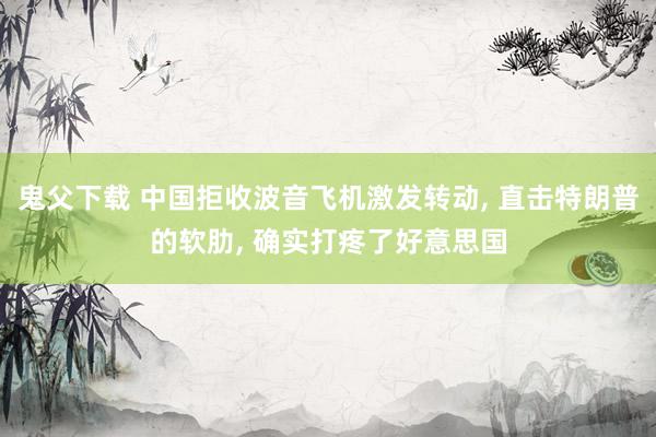 鬼父下载 中国拒收波音飞机激发转动， 直击特朗普的软肋， 确实打疼了好意思国