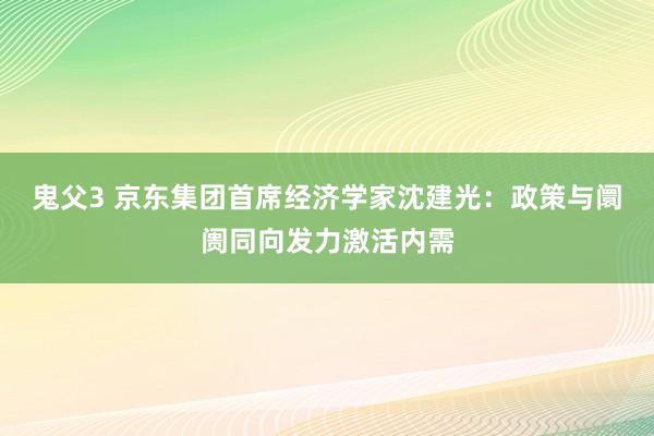 鬼父3 京东集团首席经济学家沈建光：政策与阛阓同向发力激活内需