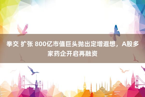 拳交 扩张 800亿市值巨头抛出定增遐想，A股多家药企开启再融资