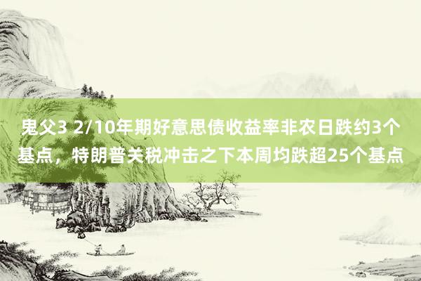 鬼父3 2/10年期好意思债收益率非农日跌约3个基点，特朗普关税冲击之下本周均跌超25个基点