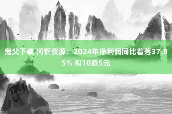 鬼父下载 河钢资源：2024年净利润同比着落37.95% 拟10派5元