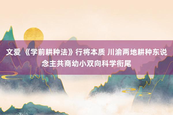 文爱 《学前耕种法》行将本质 川渝两地耕种东说念主共商幼小双向科学衔尾