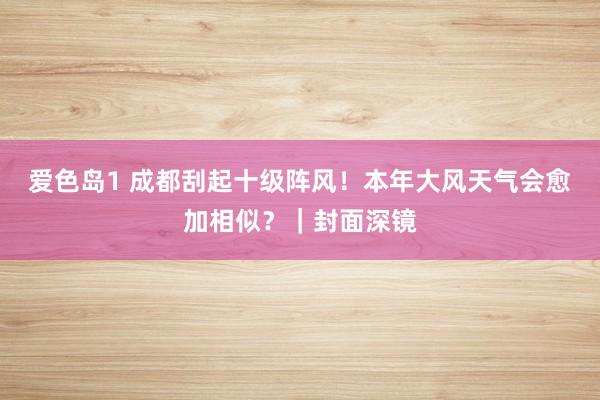 爱色岛1 成都刮起十级阵风！本年大风天气会愈加相似？｜封面深镜