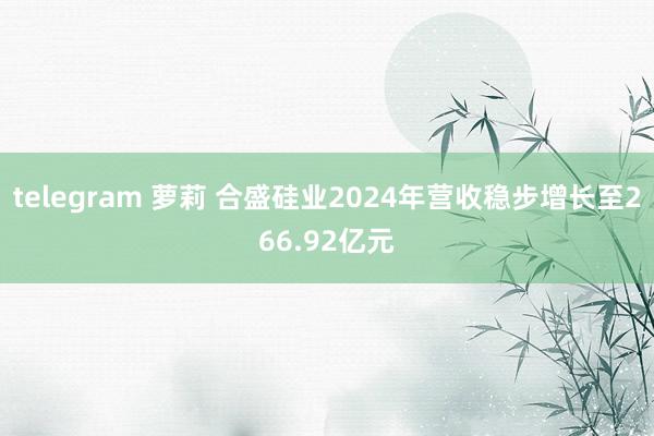 telegram 萝莉 合盛硅业2024年营收稳步增长至266.92亿元